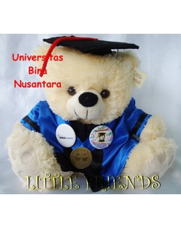 Boneka Wisuda Bina Nusantara University - Design Interior (30 cm)